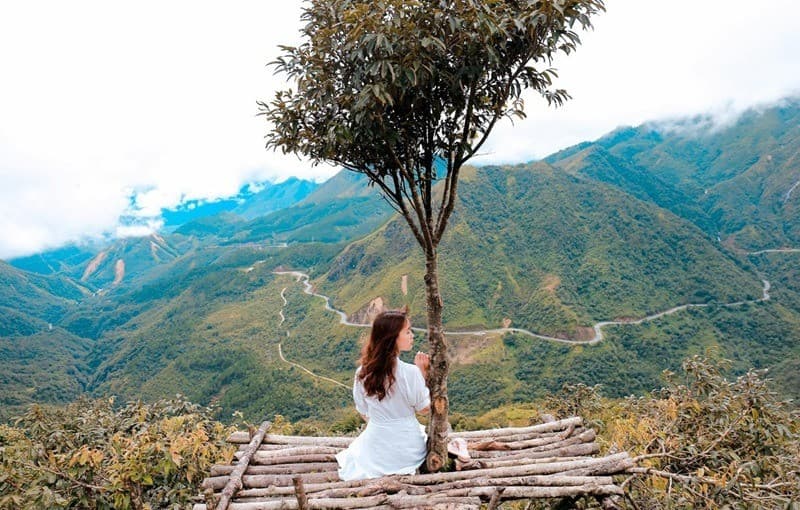 mùa thu ô quy hồ