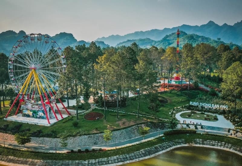 rừng thông bản áng