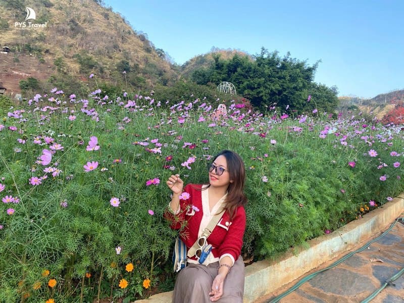 happy land mộc châu