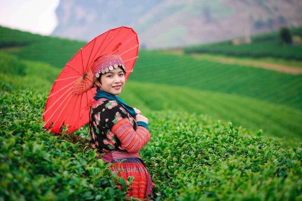 đồi chè trái tim