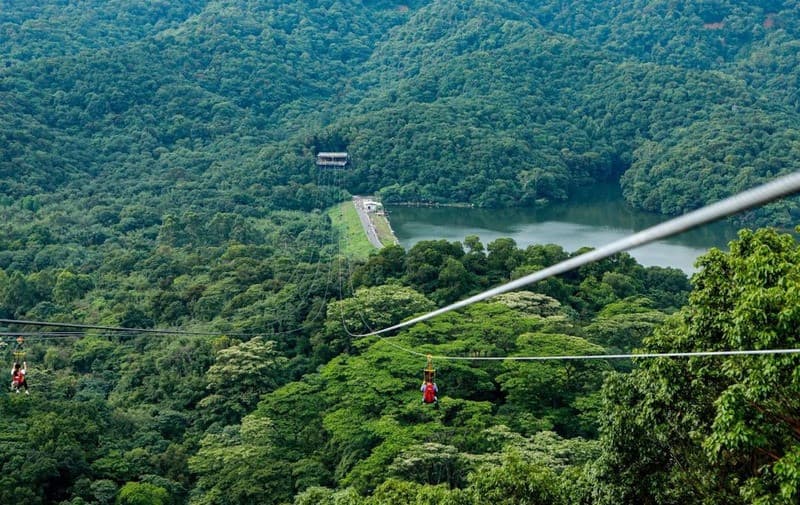 Đường trượt Zipline trên cao ở núi Bạch Vân