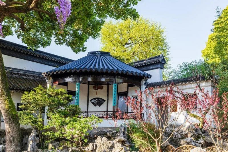 lịch sử Sư Tử Lâm