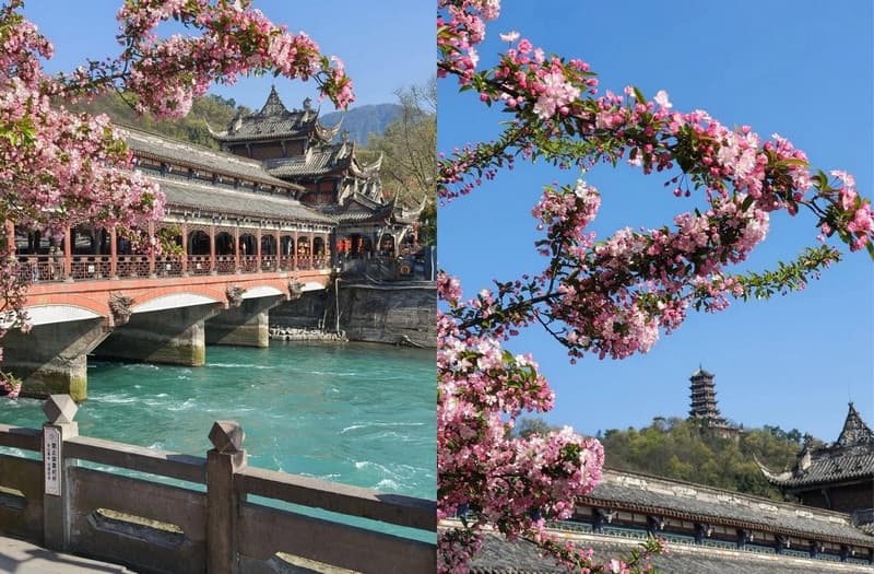 Đô Giang Yển mùa xuân