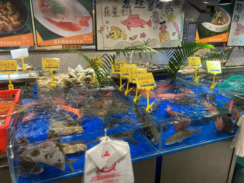 Hải sản tươi sống - phong vị chuẩn Quảng Đông