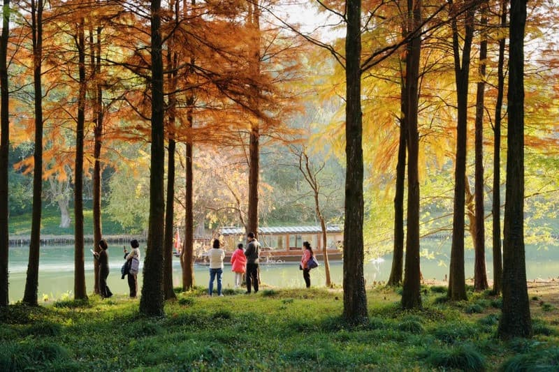 Công viên quốc gia đầm lầy Xixi