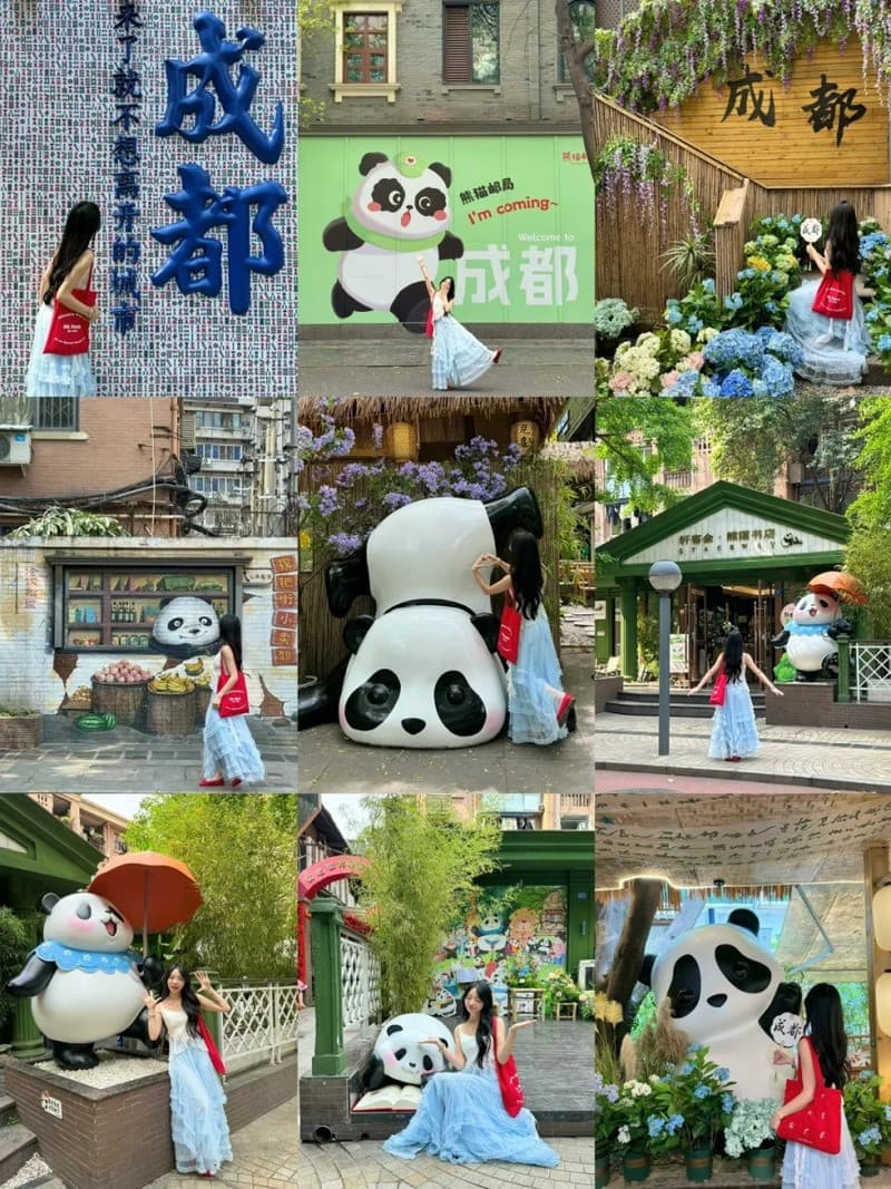 chụp ảnh tại khu bảo tồn gấu trúc thành đô