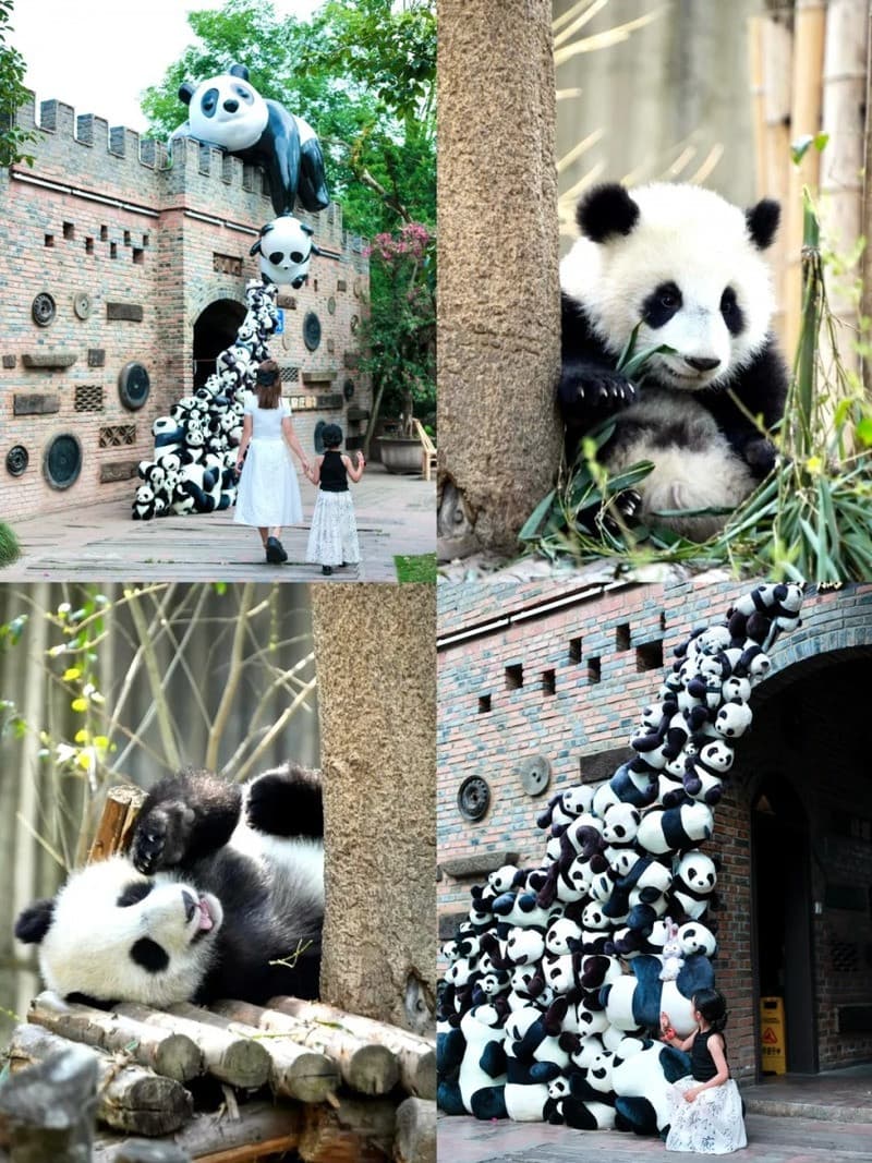 Thời gian mở cửa và các dịch vụ hỗ trợ bên trong