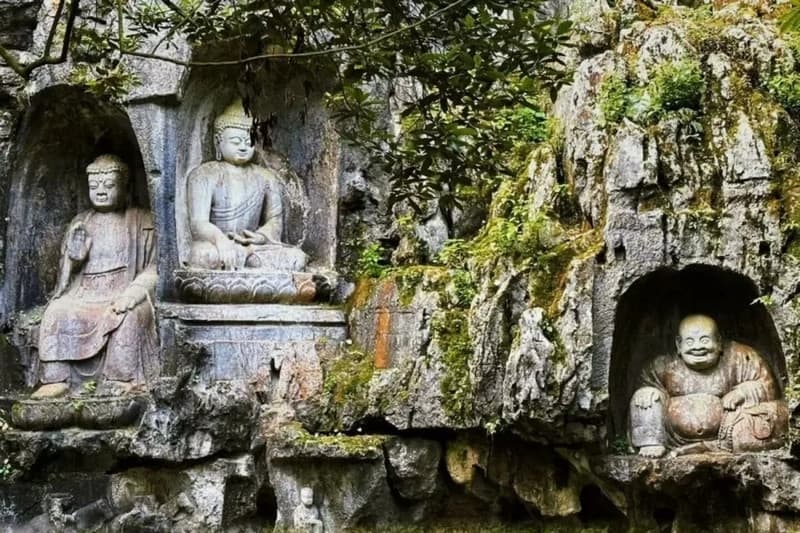 phi lai phong hàng châu