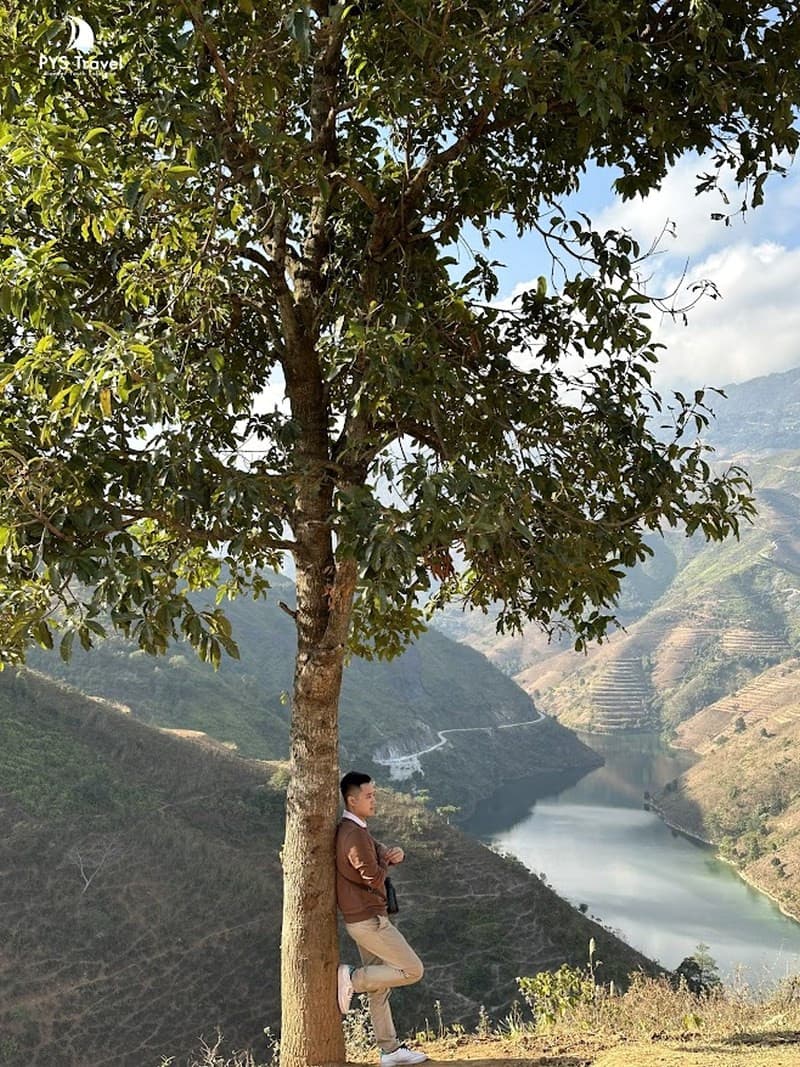 cây cô đơn  Bắc Yên Sơn La