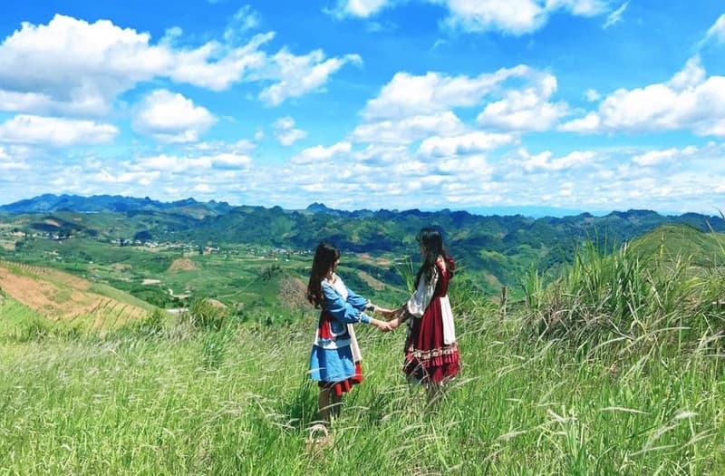 đồi cỏ vân hồ