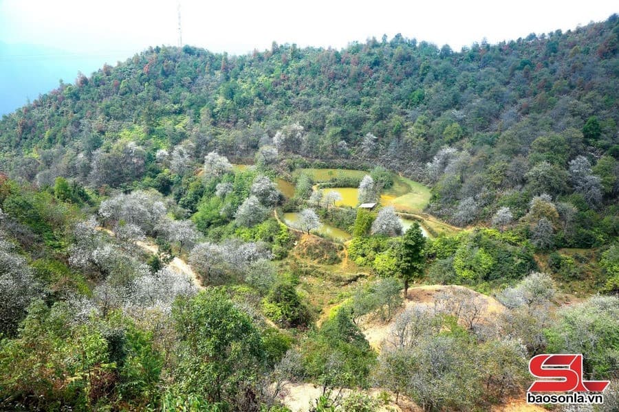 Thiên nhiên núi rừng Mường Bú