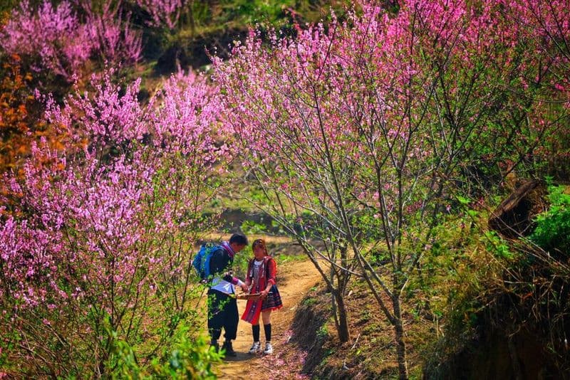 Thời tiết Sapa mùa xuân