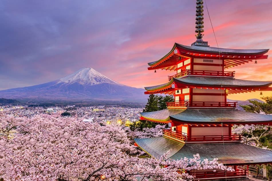 mùa hoa anh đào Nhật Bản