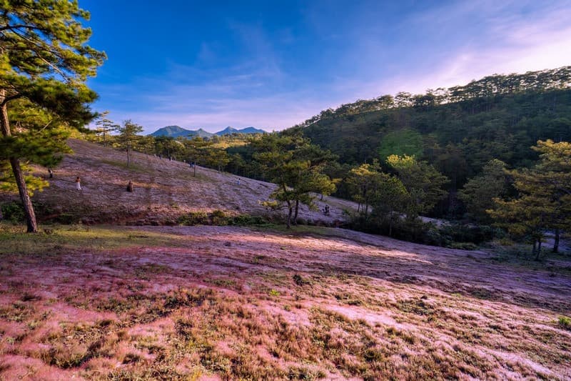 đà lạt mùa xuân