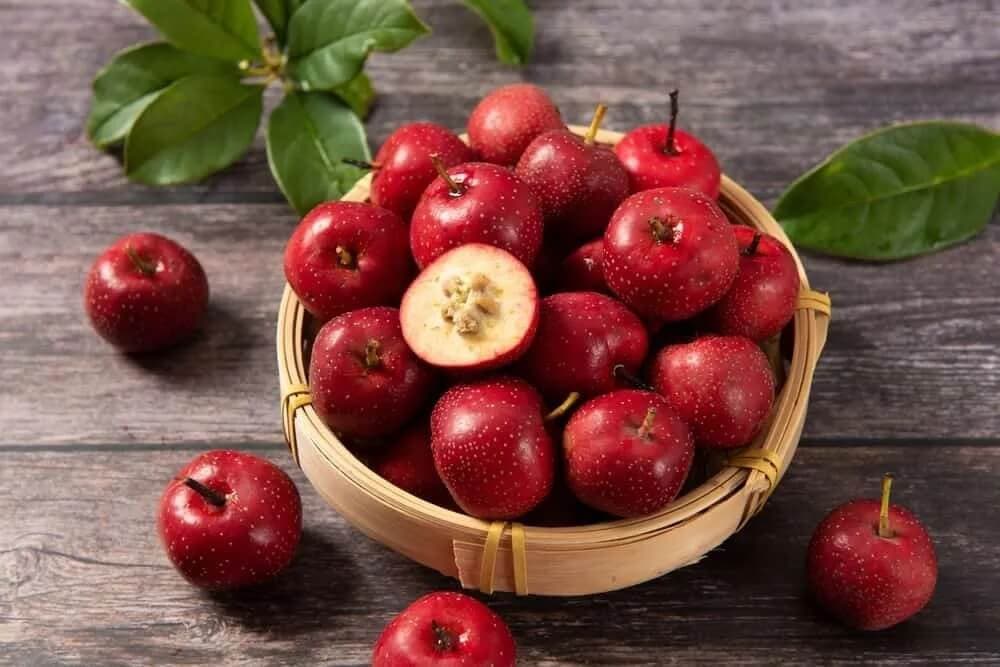 quả sơn trà lào cai