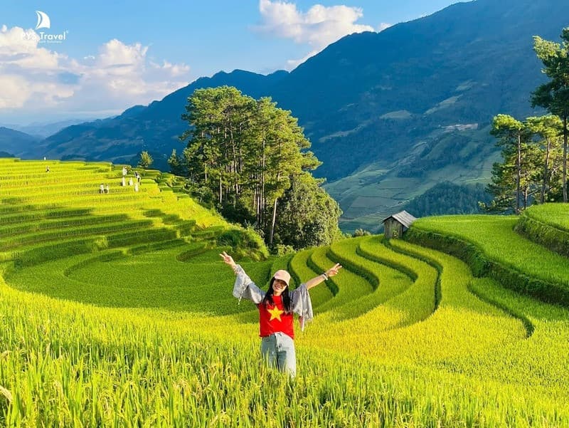 Sắc vàng phủ kín Mù Cang Chải khi tháng 9, tháng 10