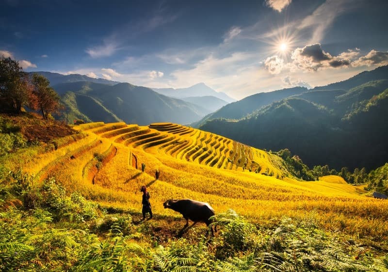 Ngắm ruộng bậc thang đèo Khau Phạ