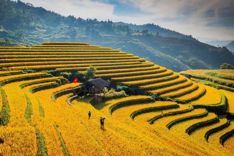 Du lịch mùa lúa chín Đèo Khau Phạ