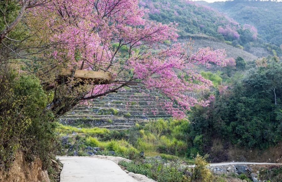 Mùa đông trên các bản làng Nậm Khắt Mù Cang Chải