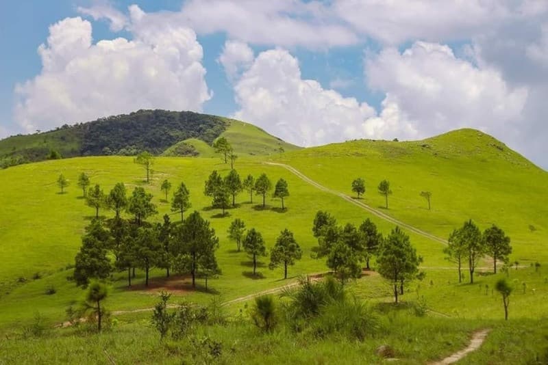 Vẻ đẹp nguyên sơ của thảo nguyên Slam Chiêm Bắc Kạn