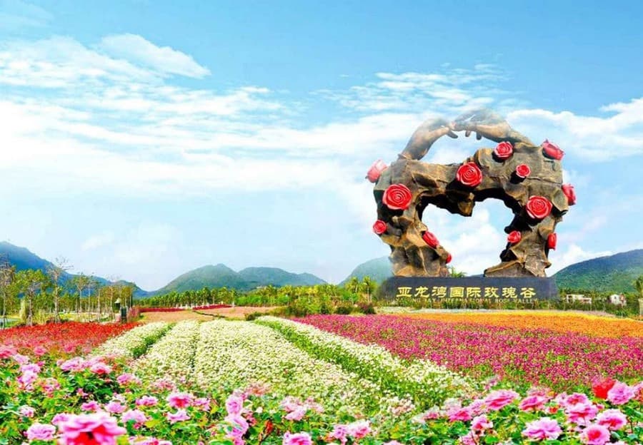 Thung lũng hoa hồng vịnh Á Long