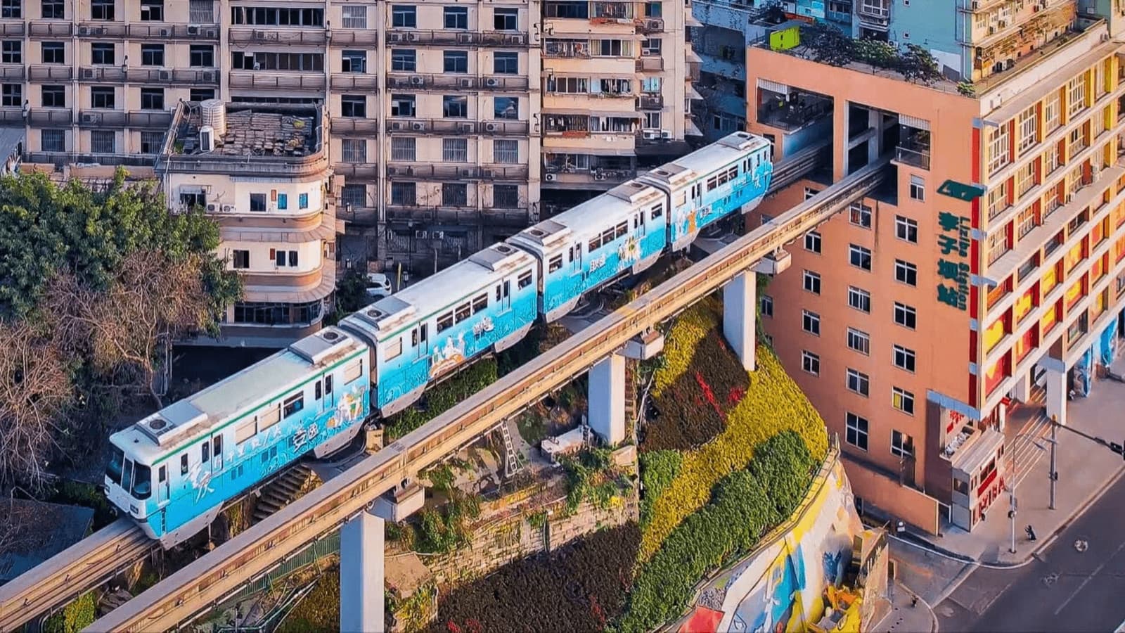 ga tàu lí tử bá