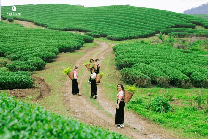 mộc châu