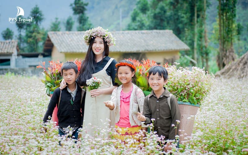 hoa tam giác mạch