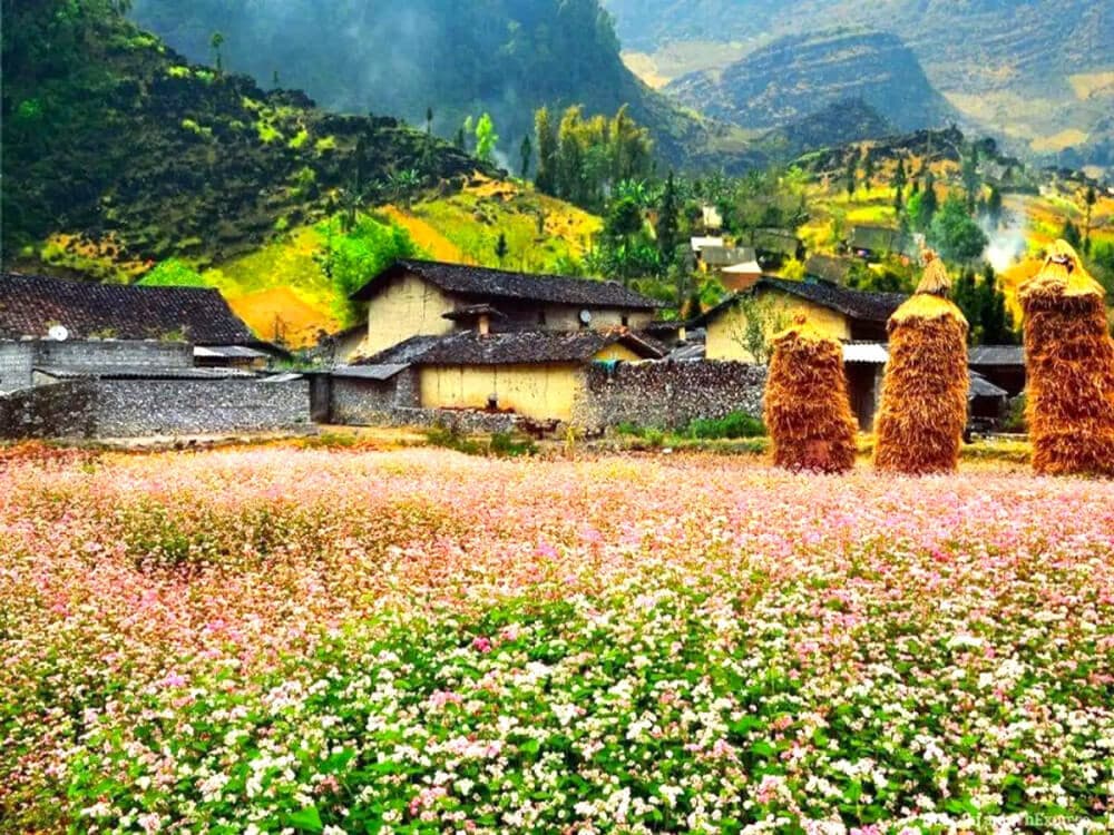 Thung Lũng Sủng Là
