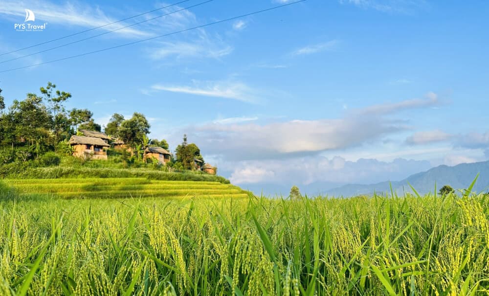 ghé thăm hoàng su phì