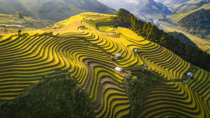 Thung lũng Tú Lệ