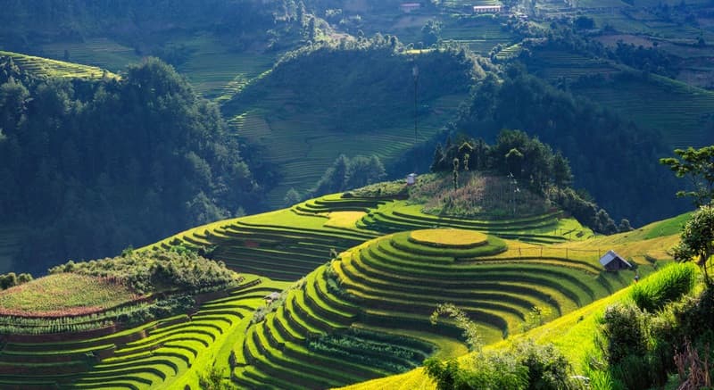 thung lũng tú lệ