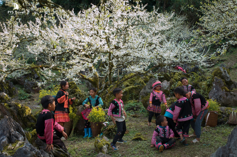 mộc châu tháng 10