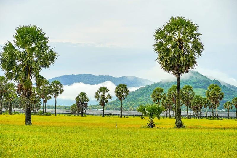 an giang