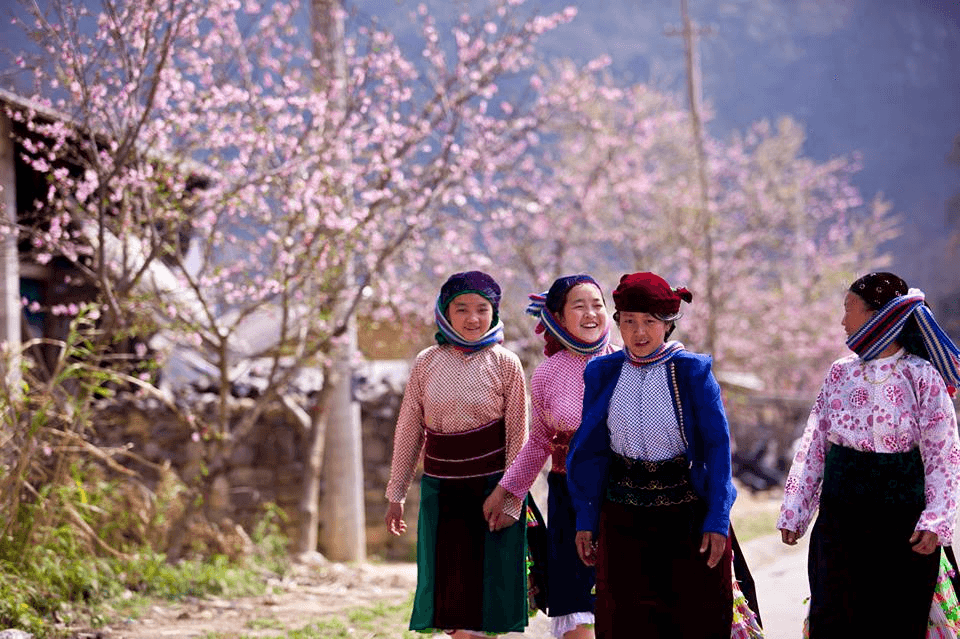 hà giang mùa xuân