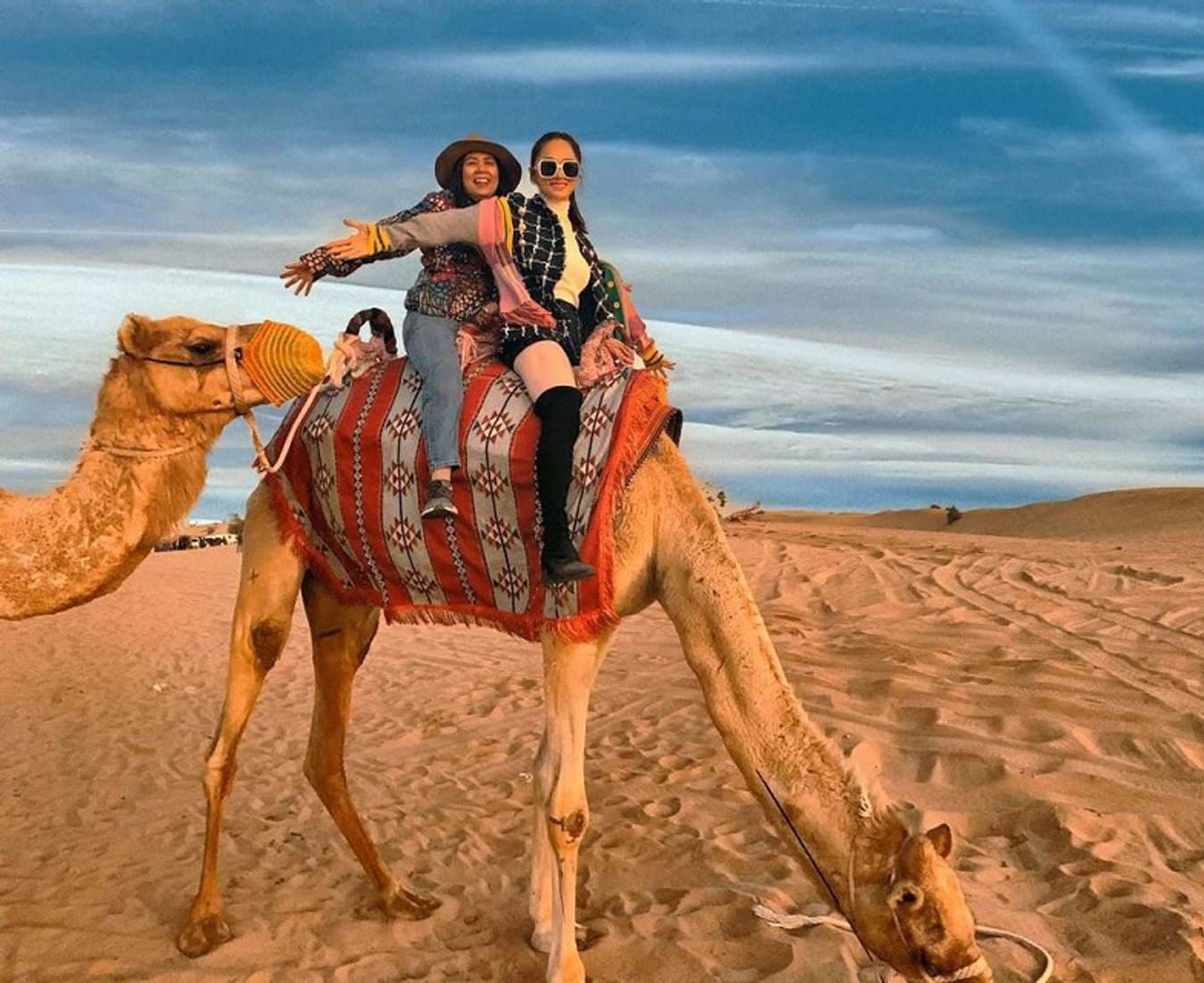 cưỡi lạc đà ở safari