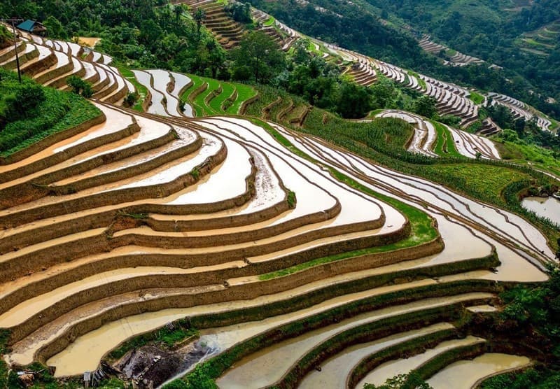 Tây Côn Lĩnh Hoàng Su Phì