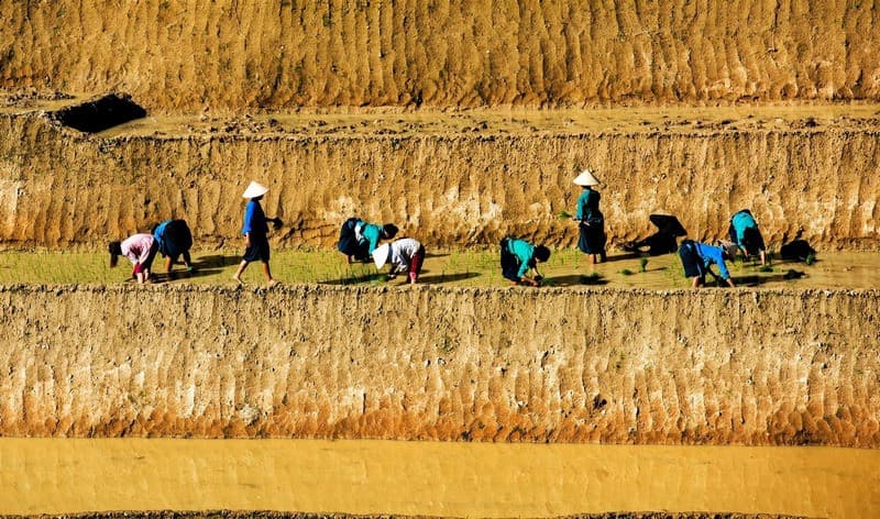 hình ảnh Hoàng Su Phì mùa nước đổ