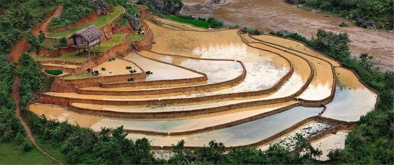 Lịch trình du lịch Hoàng Su Phì mùa nước đổ