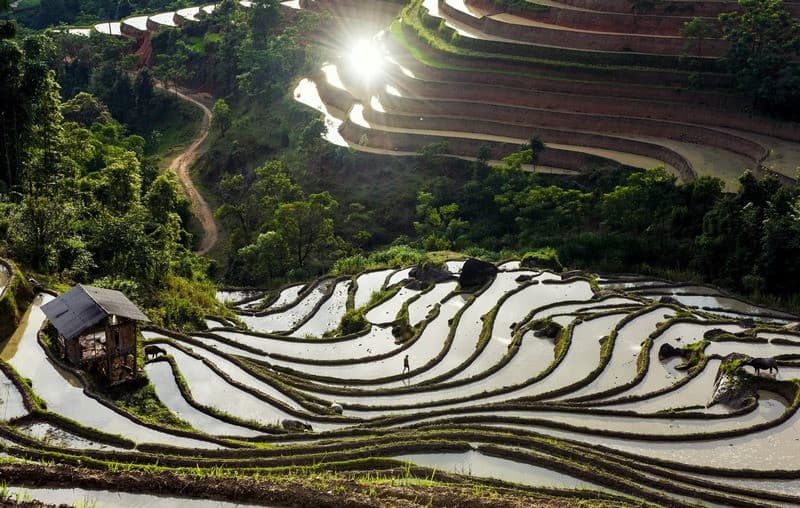 hình ảnh Hoàng Su Phì mùa nước đổ
