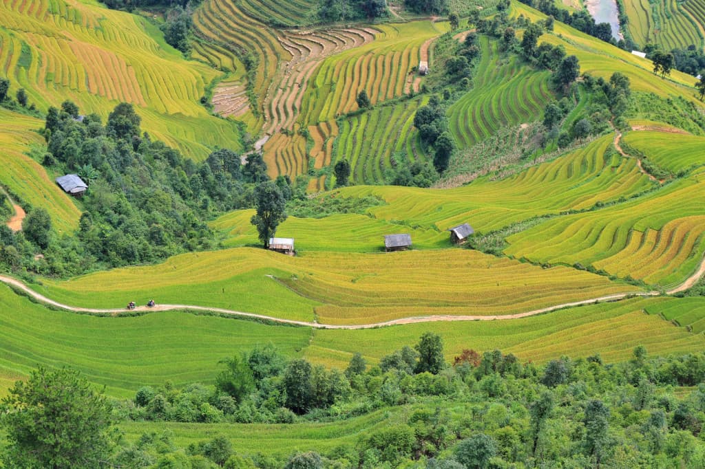 Bản Lìm Mông mù cang chải