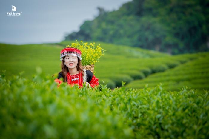 Mộc Châu với những đồi chè với nhiều kiểu dáng độc đáo 