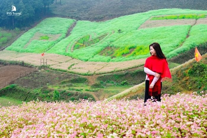 Rượu làm từ hoa tam giác mạch rất thơm