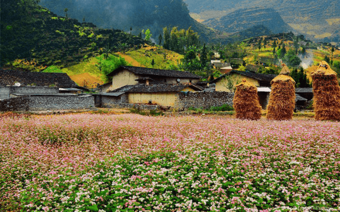 làng văn hóa lũng cầm