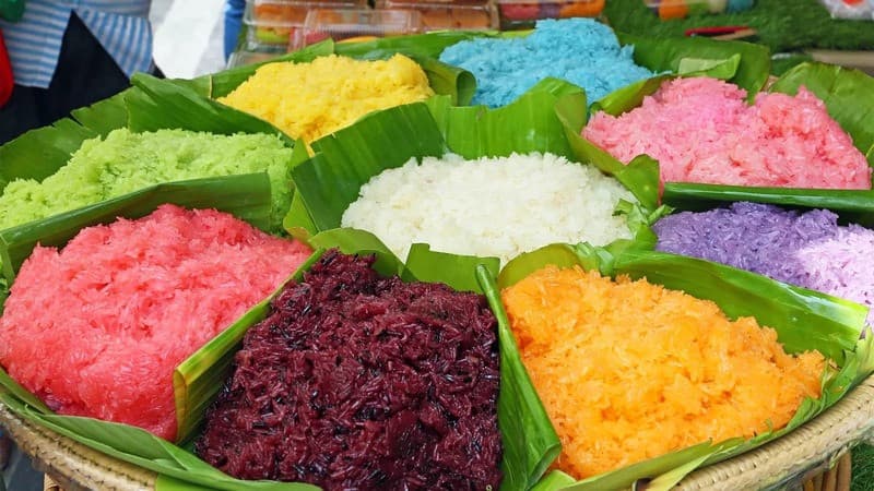 thưởng thức xôi ngũ sắc trong Du xuân Tây Bắc