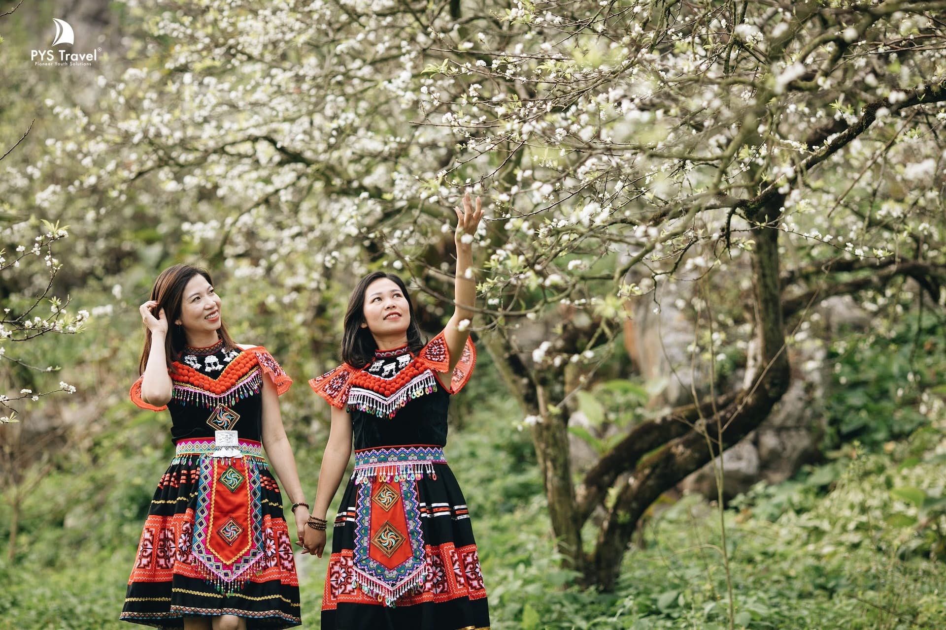 thung lũng mận mu náu