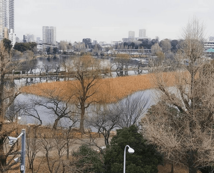 khách sạn view hồ shinobazu tokyo