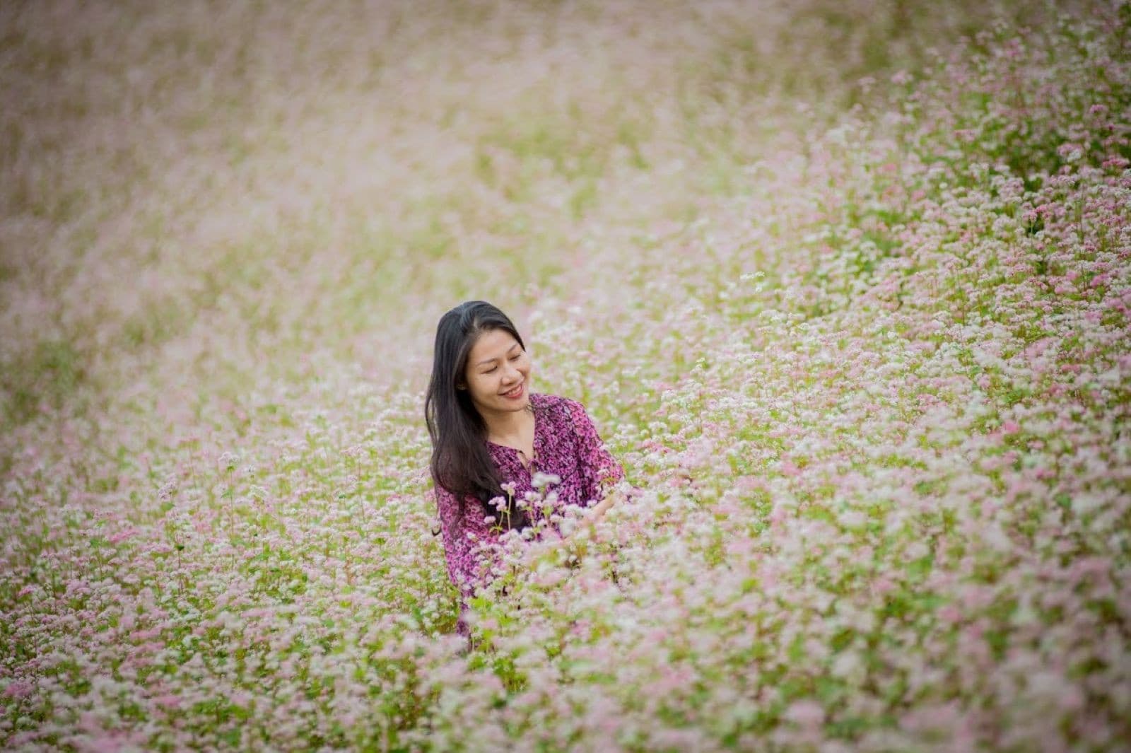 suôi thầu, tour hoàng su phì - bắc hà - chiêu lầu thi