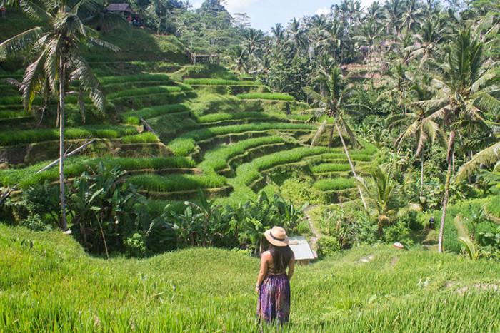 thị trấn ubud