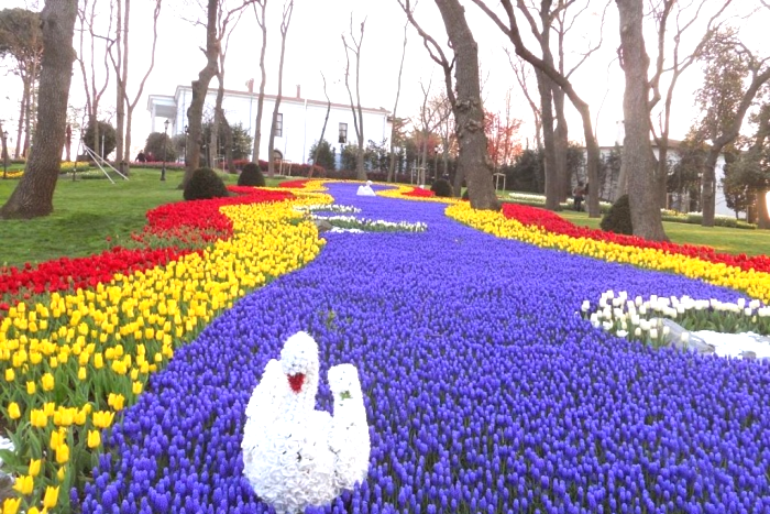 Ghé thành phố Istanbul ngắm hoa Tulip